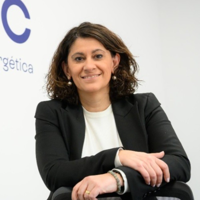 M. Isabel Tejero Fernández